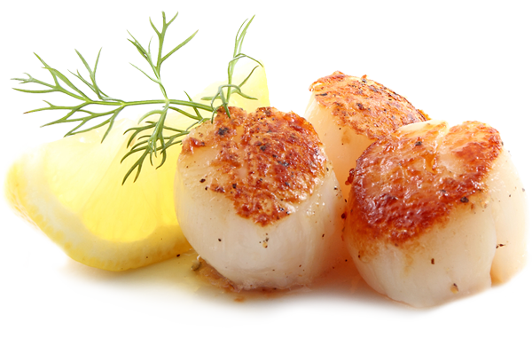 Signature scallops, exemplifying Fog City Diner's culinary innovation.
